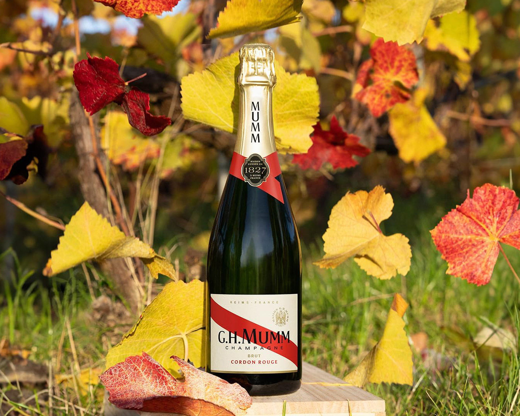 MUMM CORDON ROUGE